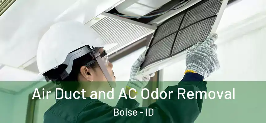 Air Duct and AC Odor Removal Boise - ID