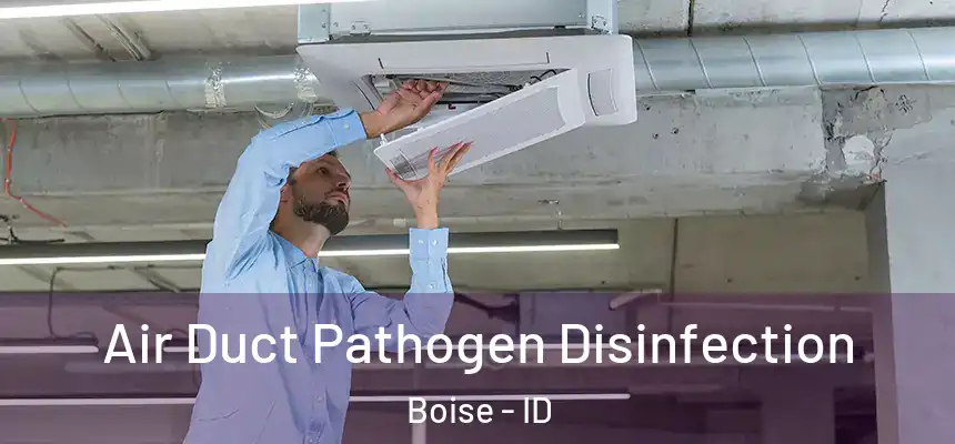  Air Duct Pathogen Disinfection Boise - ID