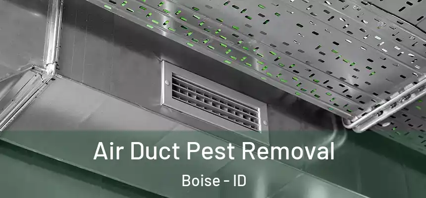  Air Duct Pest Removal Boise - ID