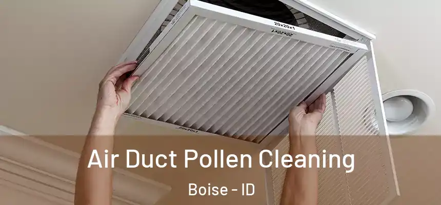 Air Duct Pollen Cleaning Boise - ID