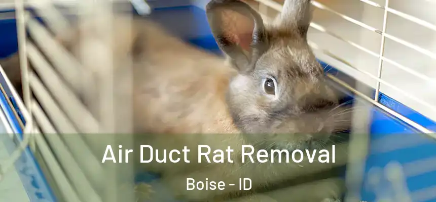 Air Duct Rat Removal Boise - ID
