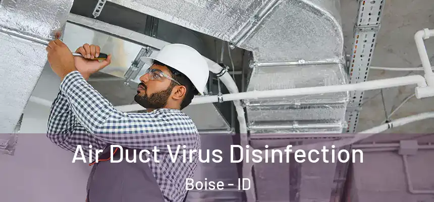  Air Duct Virus Disinfection Boise - ID