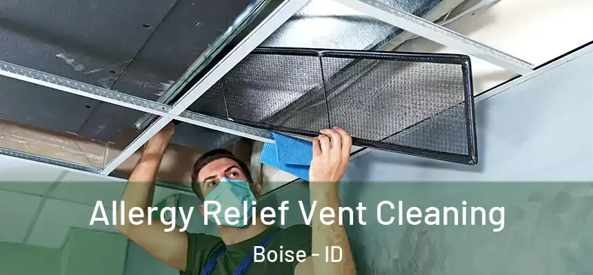 Allergy Relief Vent Cleaning Boise - ID