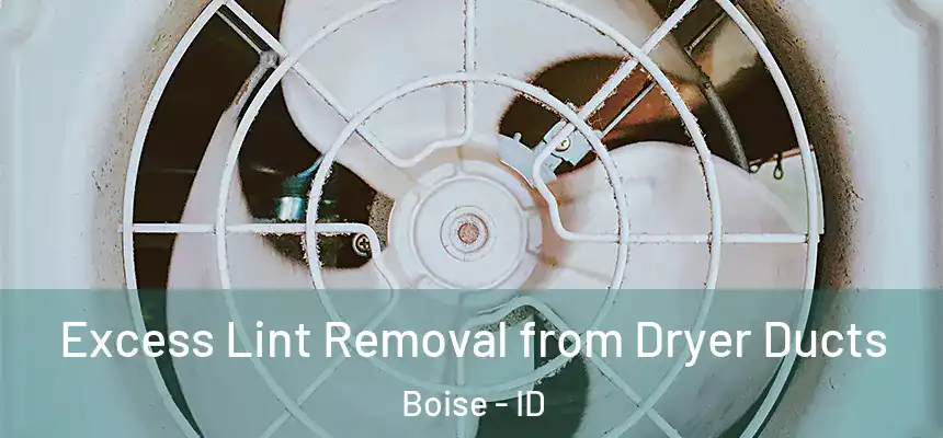 Excess Lint Removal from Dryer Ducts Boise - ID