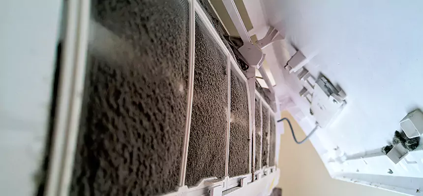 Preventive Air Duct Bacteria Removal in Boise