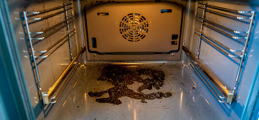 Our Dryer Vent Mold Cleaning Services in Boise, ID