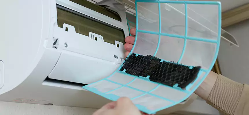 Gentle Ductwork Odor-Control Pet Dander Duct Cleaning in Boise, ID