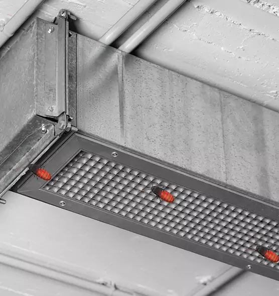 About Air Duct Cockroach Removal in Boise, ID