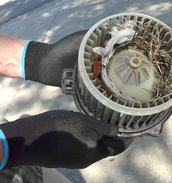 About Air Duct Rat Removal in Boise, ID