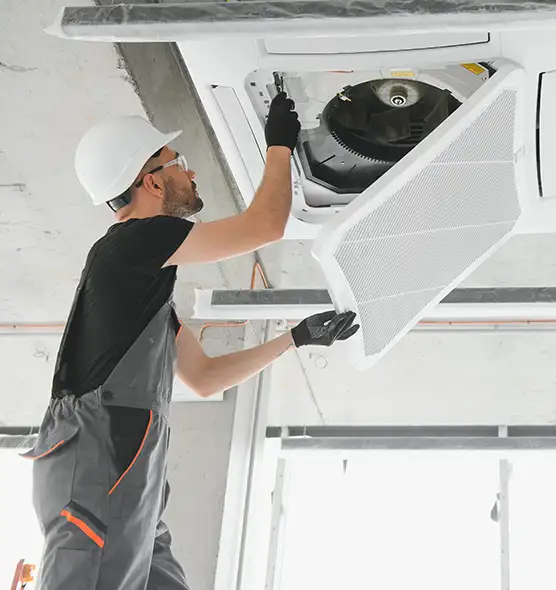 About Air Duct Rodent Removal in Boise, ID