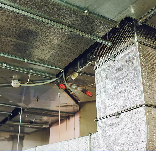 Why Homeowners & Businesses Trust Us in Boise, ID?