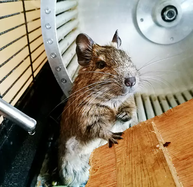 Why Homeowners & Businesses Trust Us Boise, ID