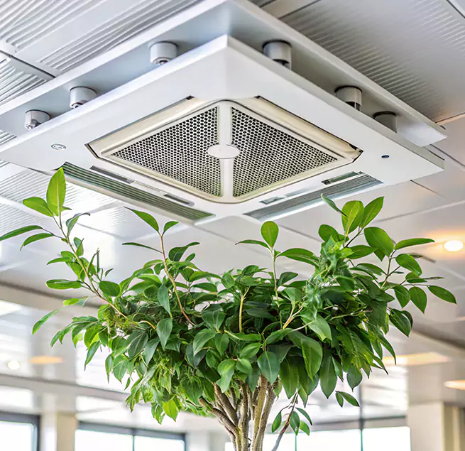 Why Homeowners & Businesses Trust Us in Boise, ID?