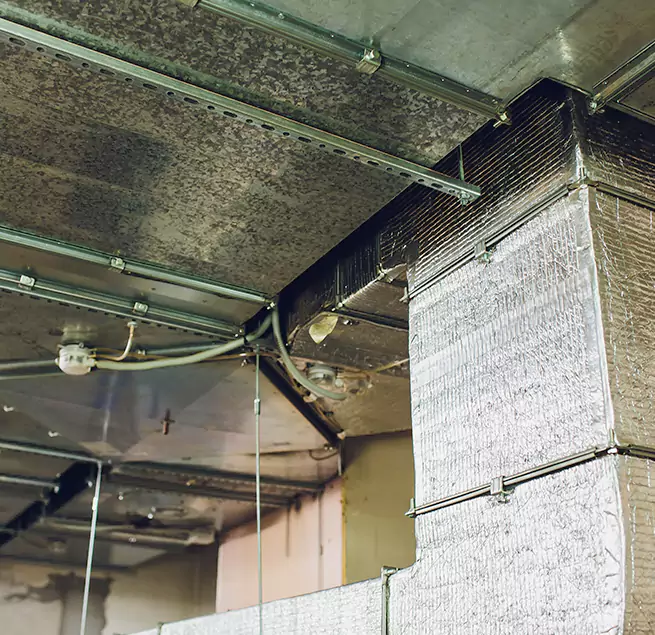 Why Homeowners & Businesses Trust Us in Boise, ID?