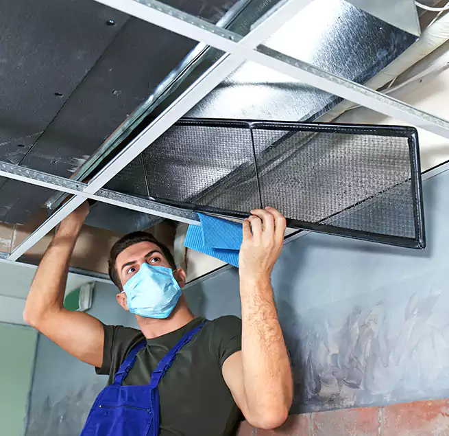 Why Homeowners Businesses Trust Us in Boise, ID